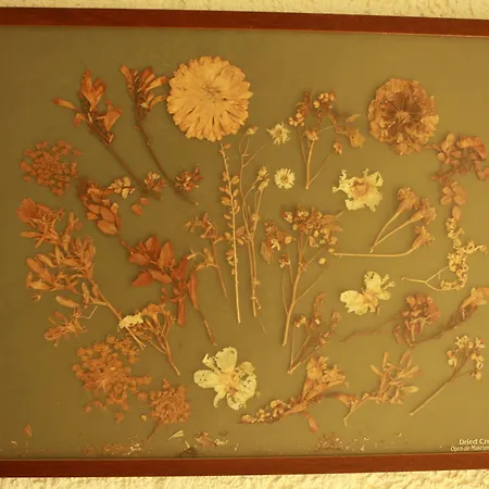 Апартаменты Iliostasi Херсониссос