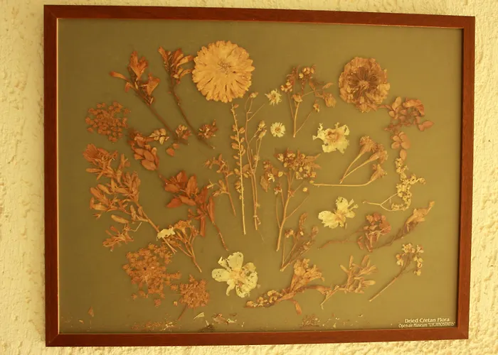 Lägenhet Iliostasi Hersonissos (Crete)